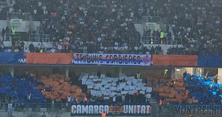 comment_46534_attachment_images_1 | AllezPaillade.com MHSC-PQSG 17-18.jpg