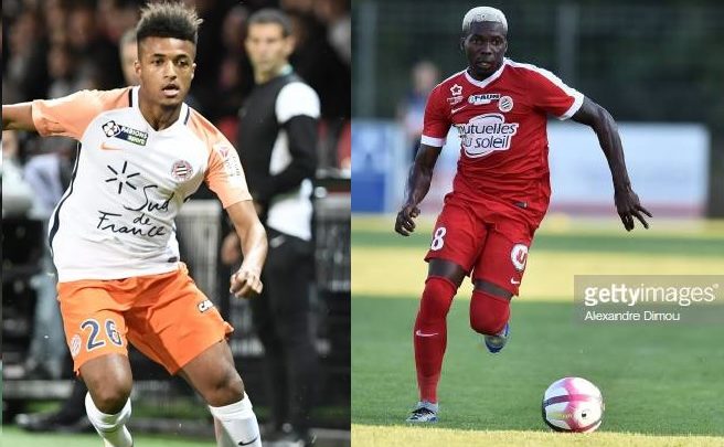 Maillot Domicile MONTPELLIER Nicolas COZZA Maillot Domicile MONTPELLIER Nicolas COZZA