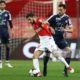 Boschilia piriz | AllezPaillade.com