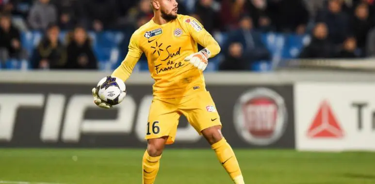 bertaud | AllezPaillade.com
