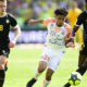 Dolly FOOTBALL : Nantes vs Montpellier - Ligue 1 Conforama - 06/05/2018 | AllezPaillade.com