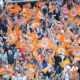 tribune-orange-mhsc | AllezPaillade.com