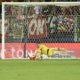 lecomte | AllezPaillade.com