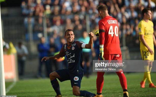 lecomte hilton | AllezPaillade.com