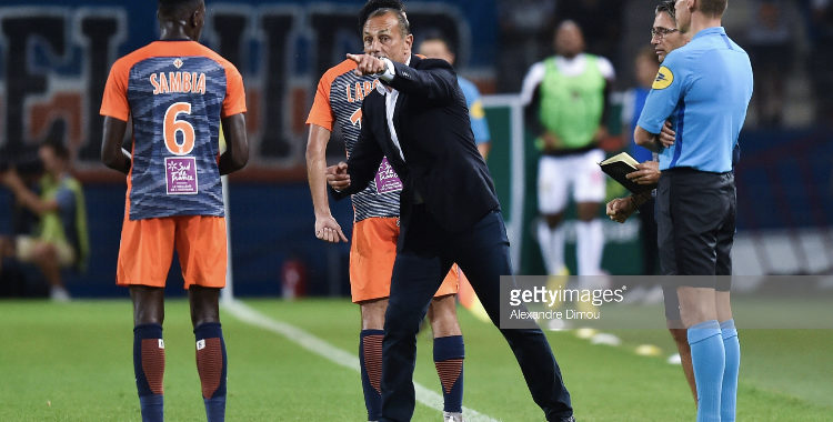 sambia der zak | AllezPaillade.com
