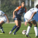 gauvin | AllezPaillade.com