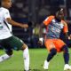 oyongo | AllezPaillade.com