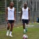 hilton camara | AllezPaillade.com