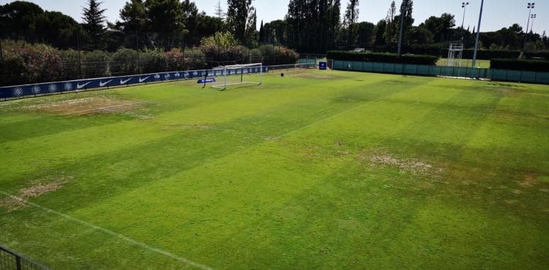Pelouse Grammont | AllezPaillade.com