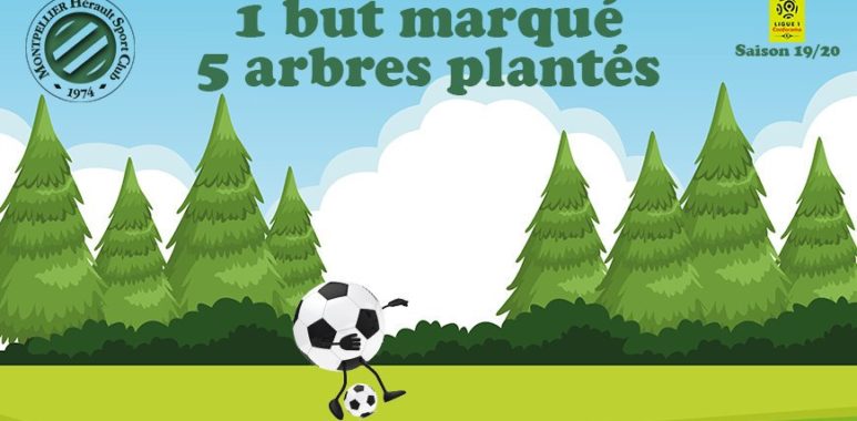 action-arbres-mhsc-ecolo | AllezPaillade.com
