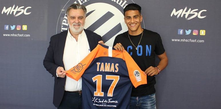 tamas | AllezPaillade.com