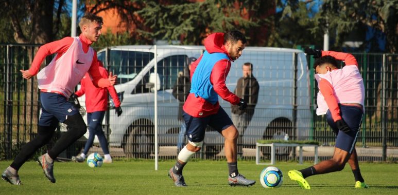 Savanier | AllezPaillade.com