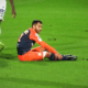 Savanier | AllezPaillade.com