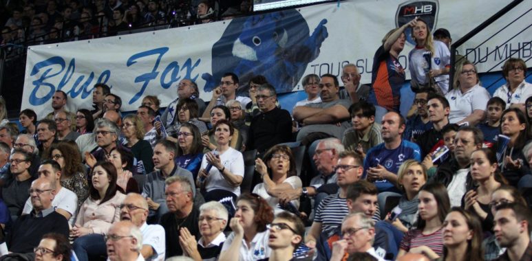 blue fox | AllezPaillade.com
