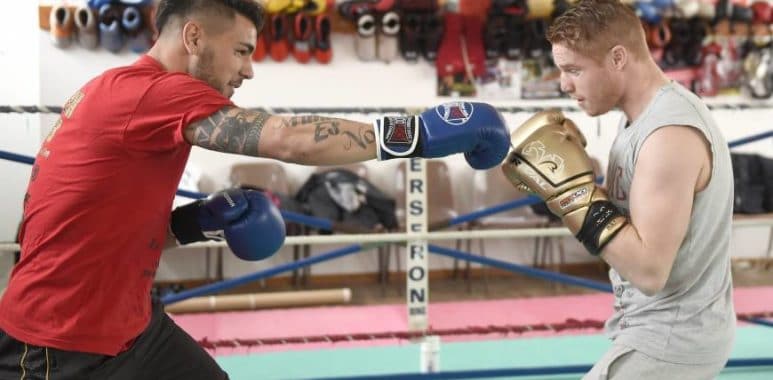 delort boxe | AllezPaillade.com