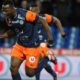 utaka 2 | AllezPaillade.com