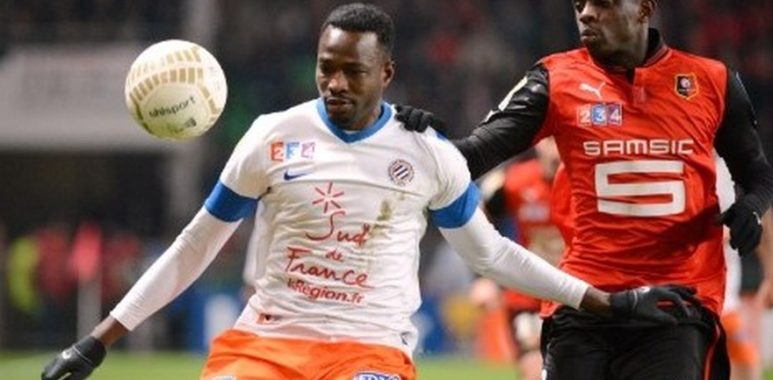 utaka | AllezPaillade.com