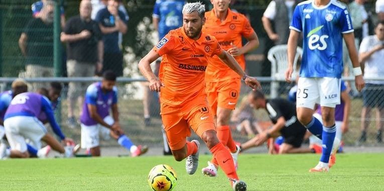 Savanier | AllezPaillade.com