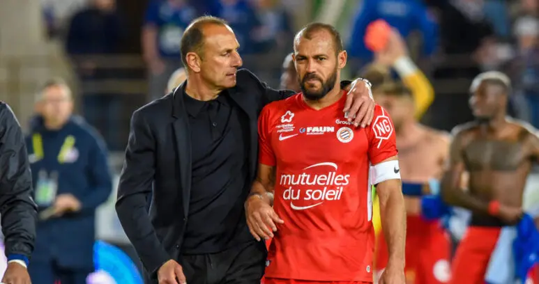 hilton der zak | AllezPaillade.com