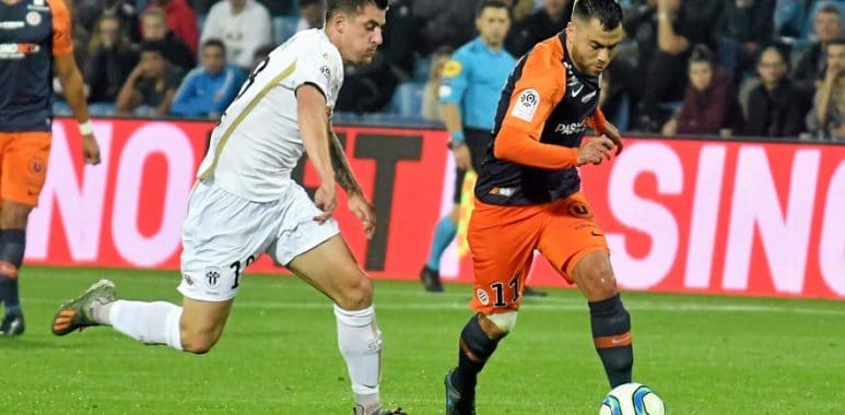 savanaier angers | AllezPaillade.com
