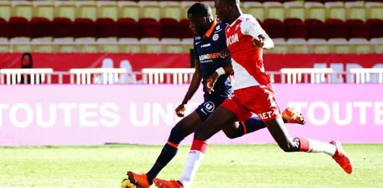 mavididi | AllezPaillade.com