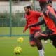 savanier | AllezPaillade.com