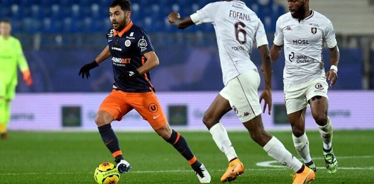 Savanier metz | AllezPaillade.com