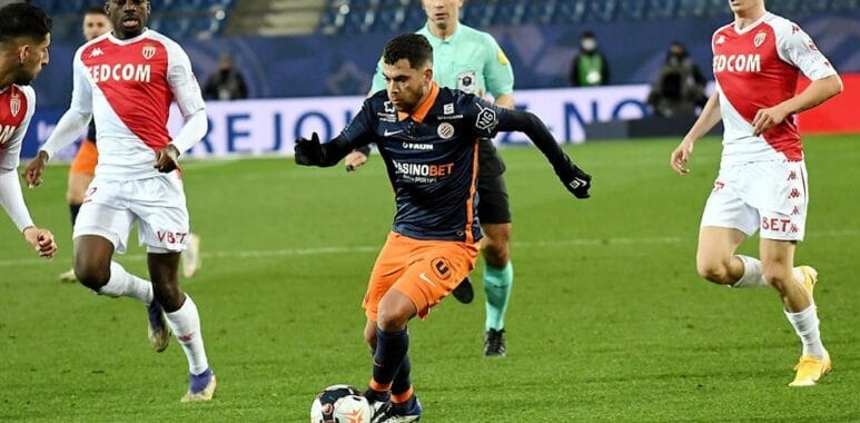 savanier monaco | AllezPaillade.com