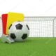 Arbitre | AllezPaillade.com