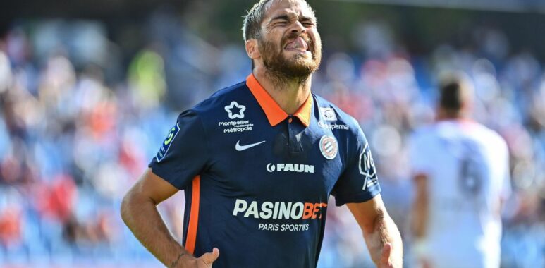 savanier | AllezPaillade.com