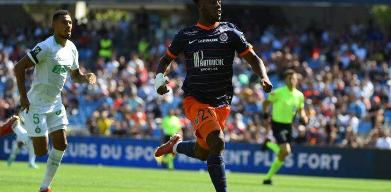 wahi | AllezPaillade.com