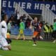 mollet savanier | AllezPaillade.com