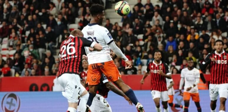 wahi nice | AllezPaillade.com