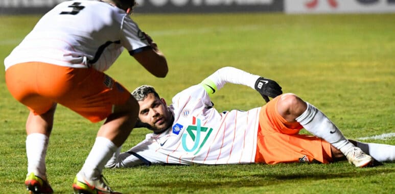 Savanier | AllezPaillade.com