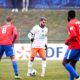 Savanier | AllezPaillade.com