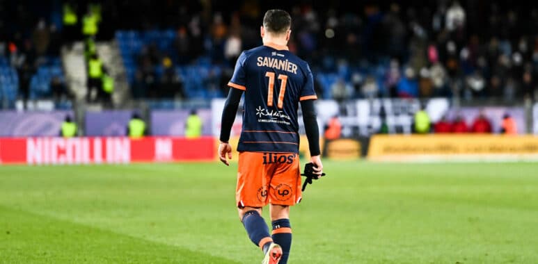 Savanier | AllezPaillade.com