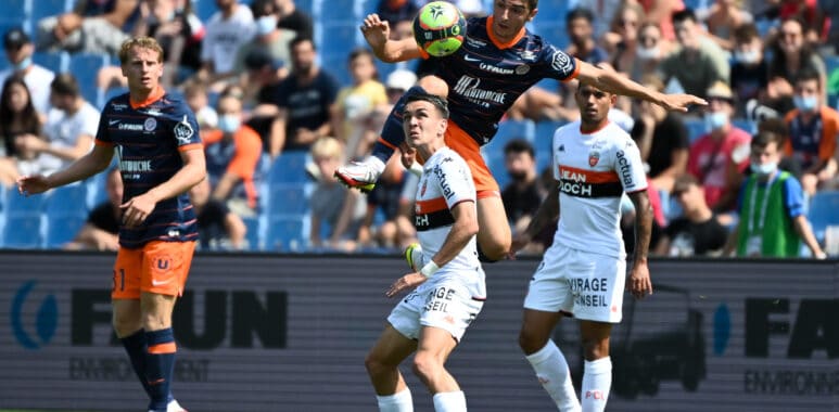 Chotard Le Fee | AllezPaillade.com