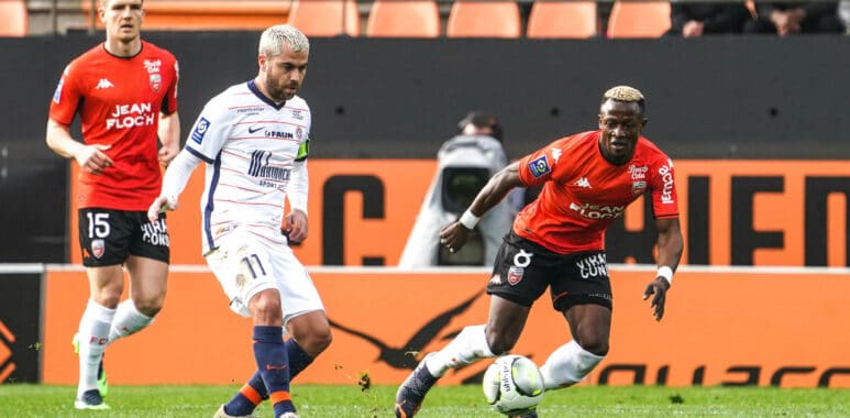 Savanier Lorient | AllezPaillade.com