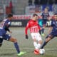 Pedretti | AllezPaillade.com