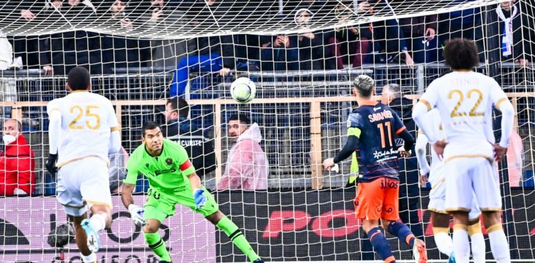 Savanier Bénitez nice | AllezPaillade.com