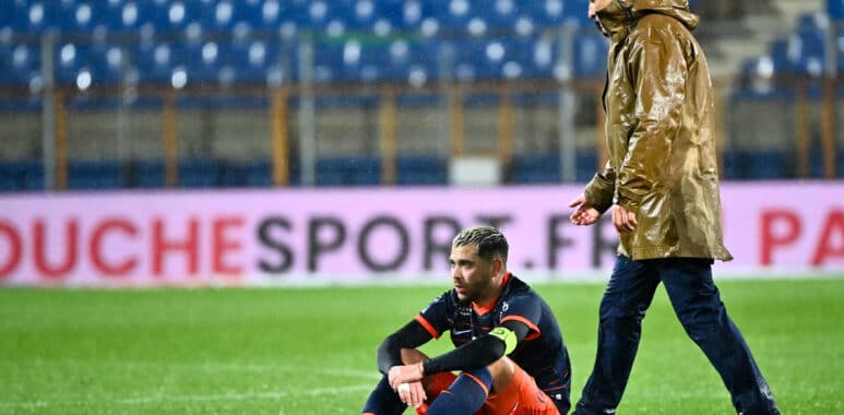 Dall'Oglio Savanier | AllezPaillade.com