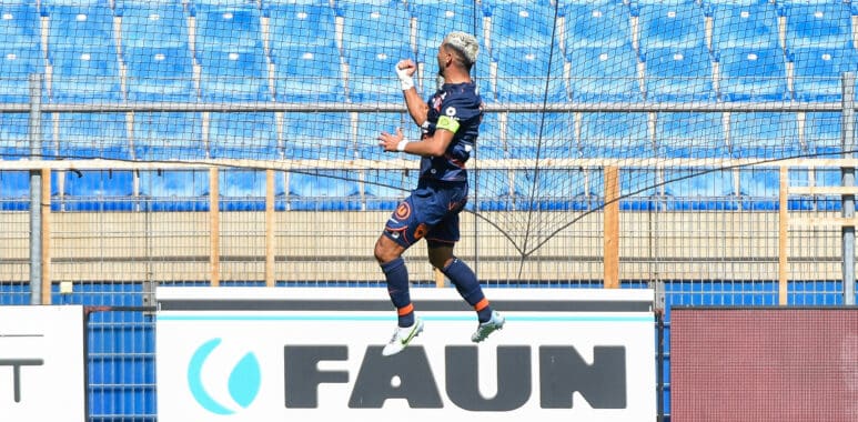 Savanier | AllezPaillade.com