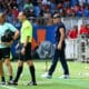 Dall oglio | AllezPaillade.com