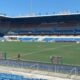 Pelouse champi | AllezPaillade.com