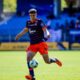 Estève | AllezPaillade.com