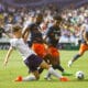 Icon__OM18039 | AllezPaillade.com