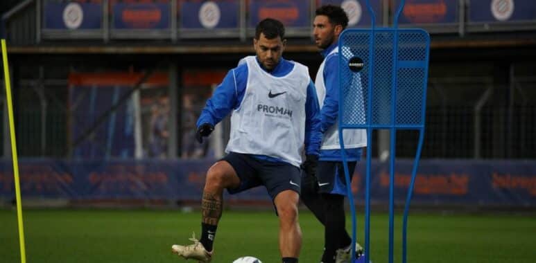 savanier | AllezPaillade.com
