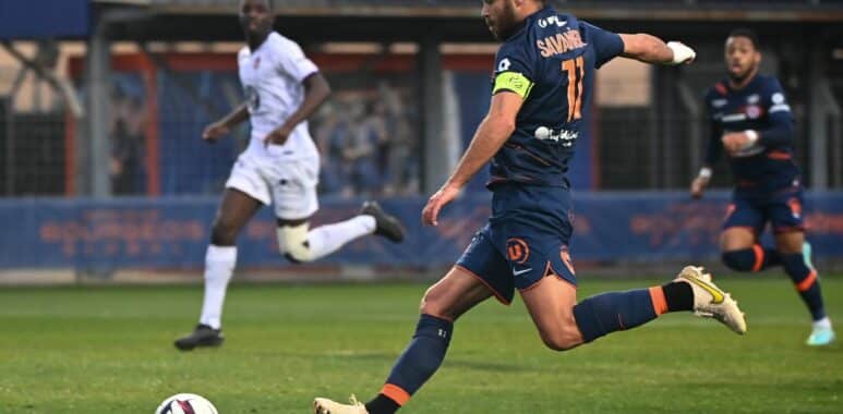 Savanier | AllezPaillade.com