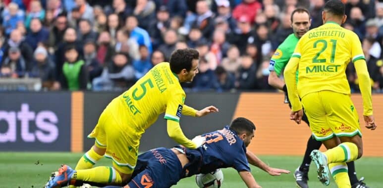 Savanier | AllezPaillade.com