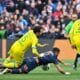 Savanier | AllezPaillade.com